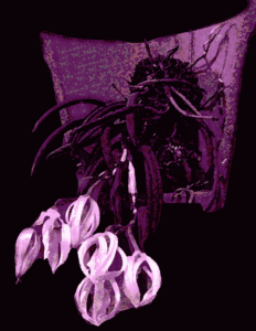 Desenho de uma orquídea Foto de uma orquídea tratada e transformada em desenho.